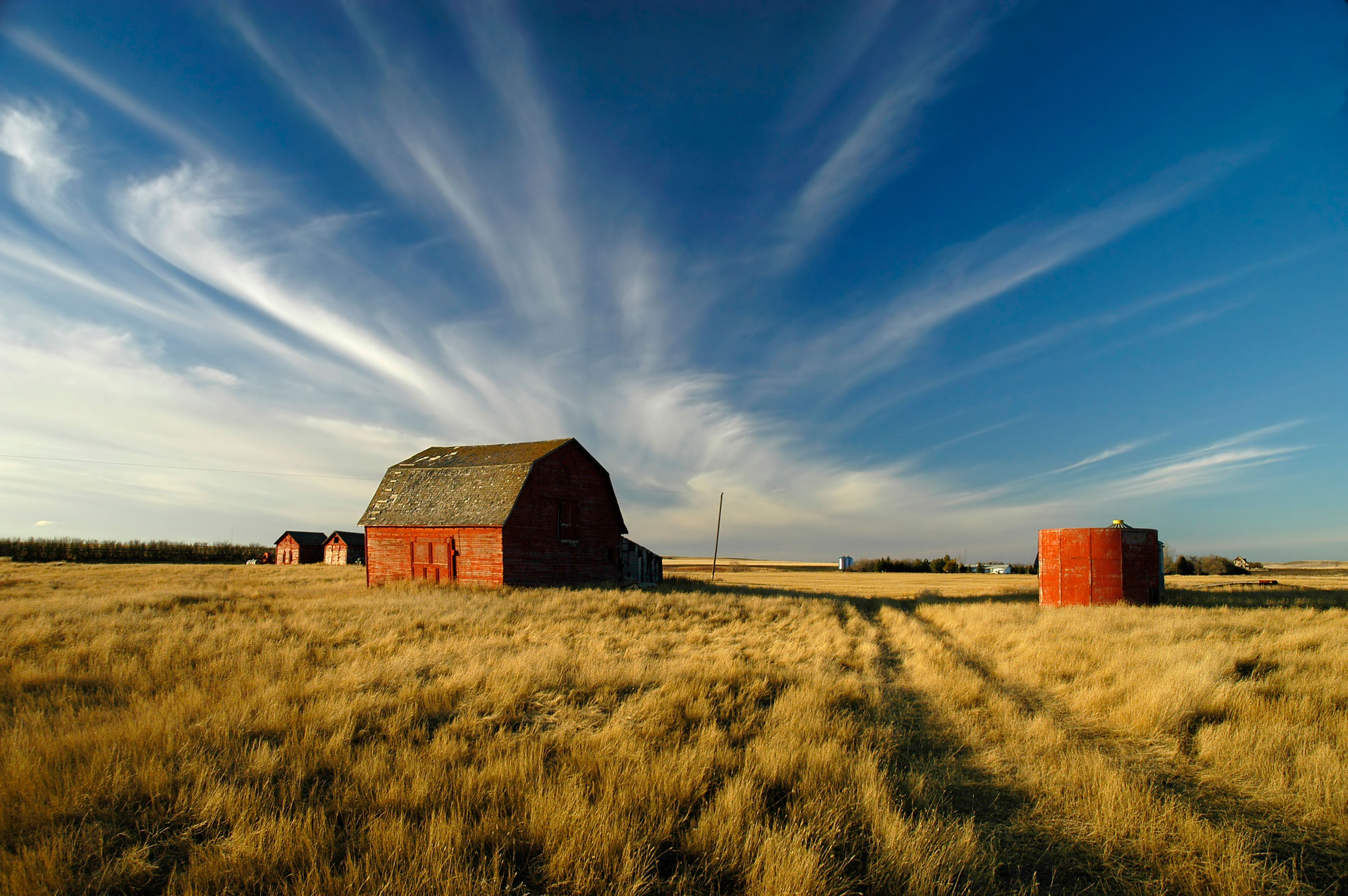 Mental Health Services Regulations Saskatchewan